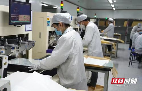電子工匠展風采，勞務品牌促發展——冷水灘區以專業勞務品牌助力就業與產業雙贏